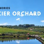 This Is A Must For The Family! Visiting Mercier Orchards Was Amazing