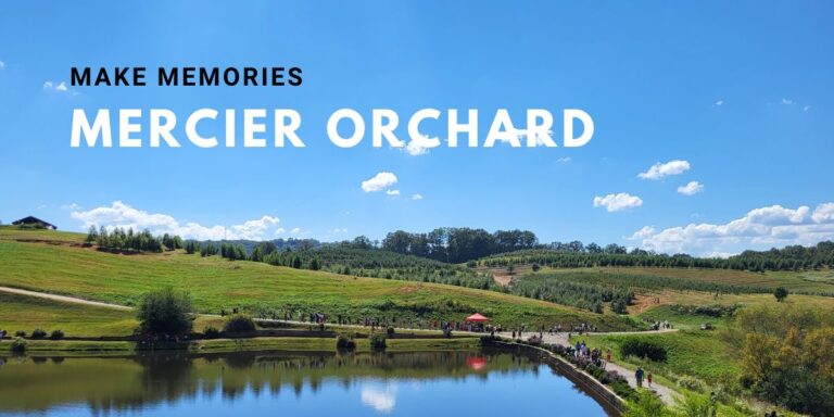 This Is A Must For The Family! Visiting Mercier Orchards Was Amazing